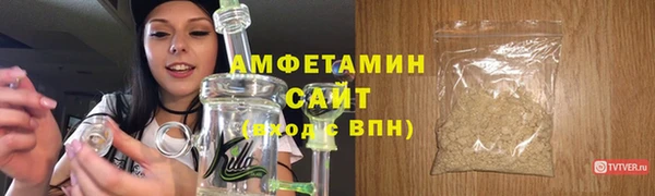 прущие грибы Абаза