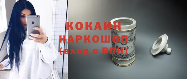 прущие грибы Абаза