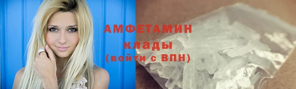 прущие грибы Абаза