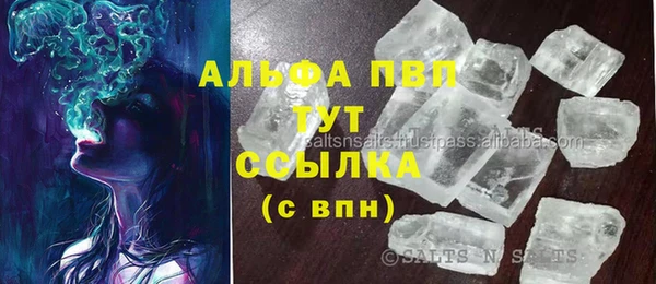 прущие грибы Абаза