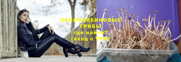 прущие крисы Абдулино