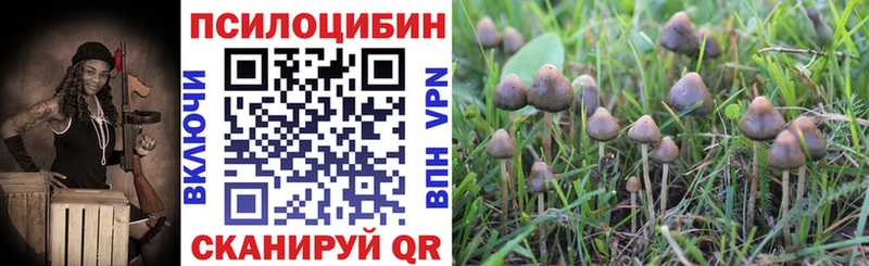 Псилоцибиновые грибы Psilocybe  магазин продажи   Агрыз 