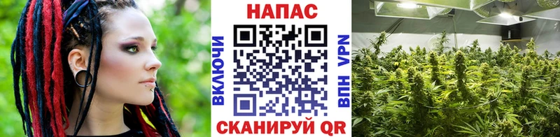 маркетплейс клад  сколько стоит  Агрыз  Конопля Ganja 